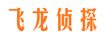 谢家集飞龙私家侦探公司